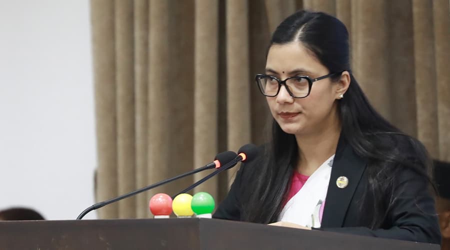नेपाली सेनाको मुख्य भूमिका रहने राष्ट्रिय प्रतिरक्षा विश्वविद्यालय विधेयक प्रतिनिधिसभामा प्रस्तुत