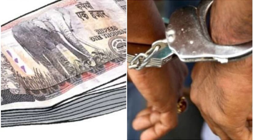 निर्वाचन बिगार्ने षड्यन्त्र असफल: २५ लाख नक्कली नोटसहित अन्तर्राष्ट्रिय गिरोहका १० जना भारतमा पक्राउ